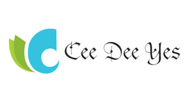 Ceedeeyes IT